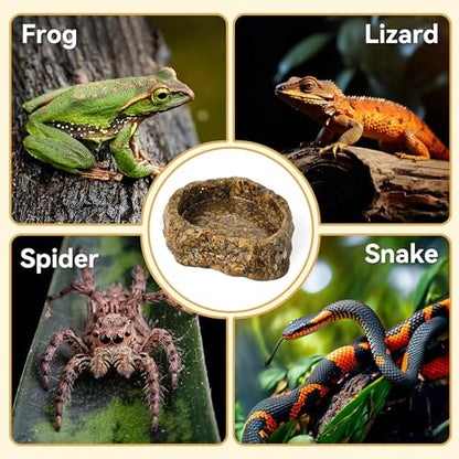 Water Dish for Amphibians，Reptile Food and Water Rock Bowls，Terrarium Decor for Reptiles and Other Little Critters，Terrarium Bowls Small Size