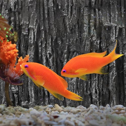 KESYOO Decorative 3D PU Rock and Waterfall Effect Terrarium Background, Reptile Tank and Fish Tank, Compact and Lightweight, Natural Decoration for Turtle Habitat