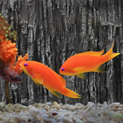 KESYOO Decorative 3D PU Rock and Waterfall Effect Terrarium Background, Reptile Tank and Fish Tank, Compact and Lightweight, Natural Decoration for Turtle Habitat