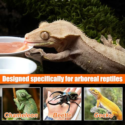 Magnetic Gecko Ledge, Reptile Feeder Ledge with 1 Feeding Cup, Reptile Food & Water Bowl for Arboreal Reptiles, Tree Frogs, Geckos, Beetles, Chameleons - color: Single Bowl