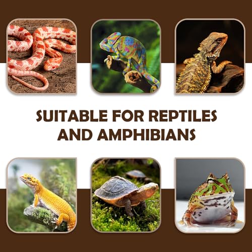 DQITJ 2 Pack Reptiles Climbing Branch Natural Tree Frog Cork Wood Stick Cork Branch for Frog Snake Lizard Bearded Dragon Chameleon
