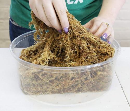 Premium New Zealand Sphagnum Moss, 500g (40L When Hydrated) Classic AA Grade (100mm, 4" Strands) - Harvested in New Zealand's South Island, Dried and Long for Potted Plants, Orchids, Reptiles - style: AA Classic (4" Strands)