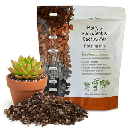 Molly's Succulent Mix - Premium Gritty Soilless Potting Mix for Succulents, Cactus and Bonsai - Contains Akadama, Hyuga, Bark Fines, Pumice, Lava Rock, Mycorrhizae 3 Dry Quarts - size: 3 Dry Quarts, style: Succulents & Cacti