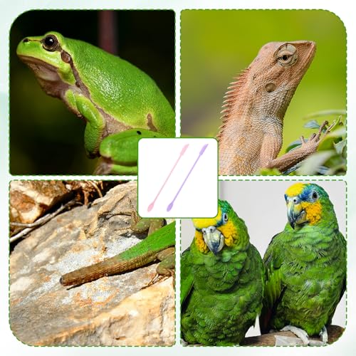 2 PCS Reptile Spoon, Long Handle Gecko Feeding Spoon, Crested Gecko Food Mixing Spoons for Crested Geco Bearded Dragon Gargoyle
