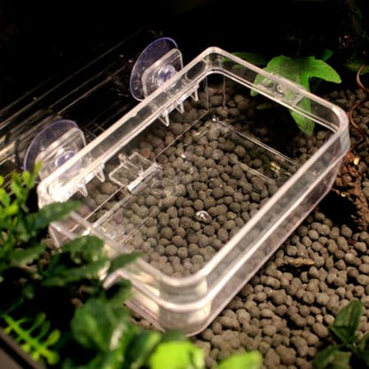 DOITOOL Lizard Feeding Bowl with Suction Cup Anti-Escape Reptile Pet Bowl Large Size Multi-Function Food Cup for Terrarium Reptile Feeding