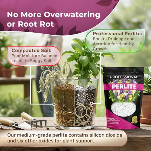 Professional Perlite for Plants 2.2 Quarts, Medium Grade Perlite Soil Additive for Indoor Outdoor Plants, Perlite for Gardening, Lightweight pH Neutral Soil Amendment, Made in USA - style: Perlite Soil Additive (2.2 Quarts)