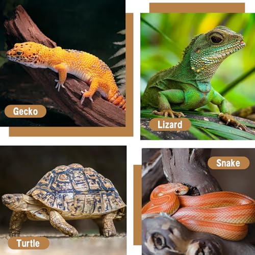 Reptile Light Fixture with Dimming Thermostat 5.5 Inch Deep Dome Infrared Reptile Heat Lamp Max 300W for Turtle Bearded Dragon Lizards Snake