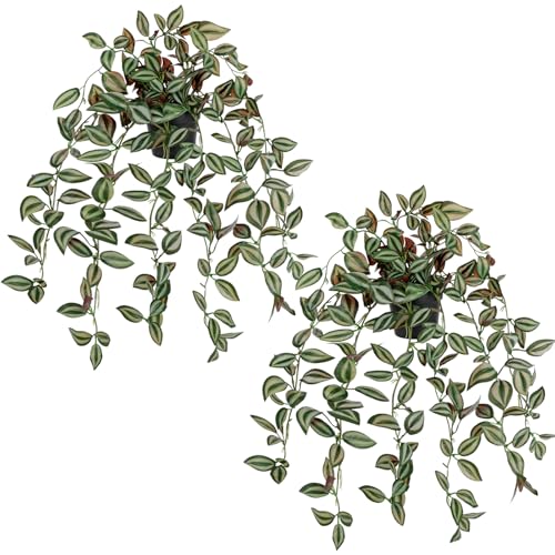 2 Pack Fake Hanging Plants for Shelf in Back Pot, Small Artificial Hanging Ivy Vine Plants Indoor Fake Potted Greenery Plant for Home Room Wall Tabletop Mantel Decor, Mimi Faux Peperomia Plant Set - color: # Wandering Jew Green Mixed Red