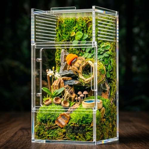 Jumping Spider Enclosure - Acrylic Terrarium Habitat for Spiders, Tarantulas, Snail, Mantis, Lizard, and Small Reptiles, Magnetic Doors (3x3x6 inch) - size: 3x3x6inch