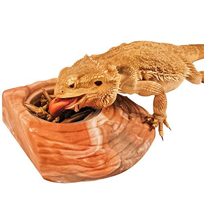 Healthy Herp Dragon Treat Grasshoppers - All Natural, Nutritious Turtle Food, Bearded Dragon Tank Accessories - for Bearded Dragons, Box Turtles, Aquatic Turtles - 0.56 oz (16g)