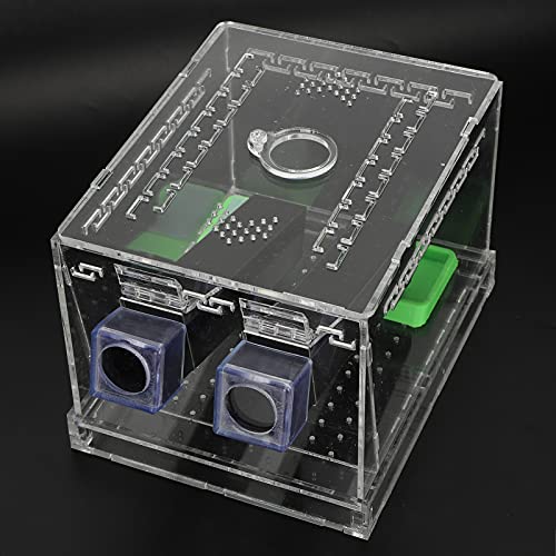 Acrylic Cricket Feed Box with Observation Window for Reptile Terrarium Insect Care Kit, Non-Toxic Material for Easy Cleaning, Tank Box for - size: L