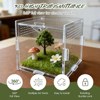 Jumping Spider Enclosure, 4"x4"x4" Acrylic Habitat Terrarium - Top Opening with Ventilation & Feeding Holes, Small Pet Tank for Jumping Spiders, Snails, Insects, Isopods