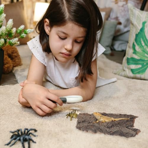Gatuida 4pcs Natural Cork Bark for Reptiles, Wood Tree Bark Reptile Hides Small Climbing Decor, Terrarium Tank Accessories for Bearded Dragon Geckos Lizard Tortoise Water Tube Landscaping