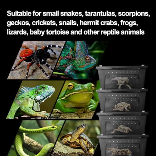 kathson Reptile Snake Feeding Box Breeding Hatching Container Lizard Tarantula Habitat Portable Transparent Plastic Mini Pet Houses for Spider Scorpion Gecko (White)