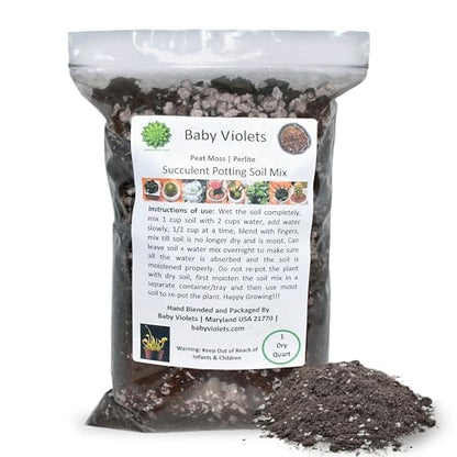Succulent & Cactus Plant Potting Soil Mix Peat Moss & Perlite, 1 Quart (1qt 4 Level Cups) - size: 1qt