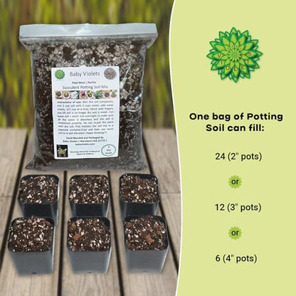 Succulent Plant Potting Soil Mix Peat Moss & Perlite (½ Gallon / 2 quarts) (Pack of 2) - size: 2qt (Pack of 2)