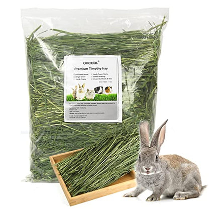 Timothy Hay, 1.1LB Small Pet Feed | Dust-free, natural fresh green hay, suitable for rabbits, guinea pigs, chinchillas, tortoises