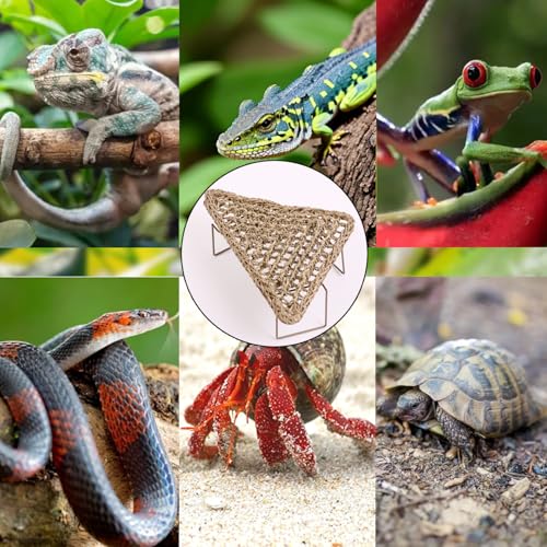 Bearded Dragon Hammock Bearded Dragon Accessories - Durable Reptile Basking Platform with Sturdy Metal Legs Bed for Lizards, Snakes Frogs Hermit Crabs - Terrarium Habitat Decor (Triangle, Small)