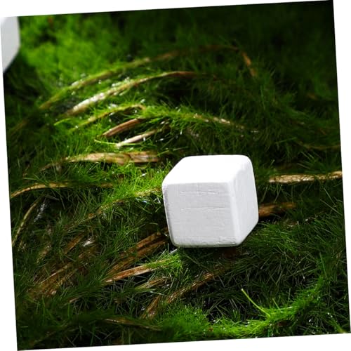 TOYANDONA 30Pcs Natural Mineral Calcium Blocks for Reptiles and Amphibians Enhances Turtle Tortoise Lizard Frog and Chameleon Dental Care and Water Quality Stabilization for Growth