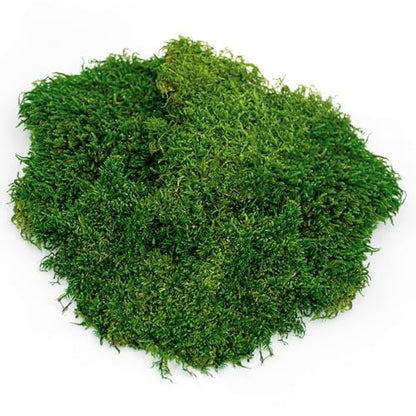 Galápagos (05248) Sheets of Real Moss, 8-Quart, Natural,Green - size: 8 quarts