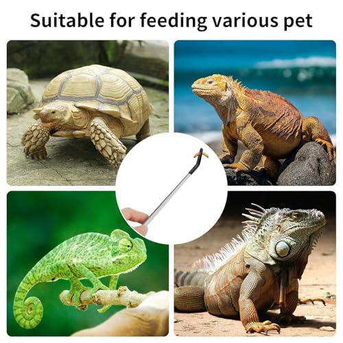 Stainless Steel Reptile Feeding Tongs with Rubber Tips, 27cm Long Curved and Straight Tweezers for Turtles, Lizards, Iguanas, Chameleons, Aquarium and Terrarium Use
