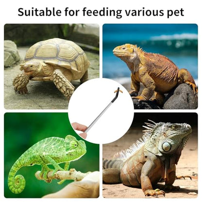 Stainless Steel Reptile Feeding Tongs with Rubber Tips, 27cm Long Curved and Straight Tweezers for Turtles, Lizards, Iguanas, Chameleons, Aquarium and Terrarium Use