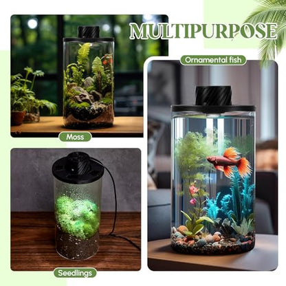 Maxdot Glass Plant Terrarium Kit with LED Grow Light, Desk Terrarium for Venus Fly Trap, Succulents, Moss & Miniature Garden, Borosilicate Glass Desktop Planter for Home Office(7.9 x 3.9 Inch) - size: 7.9 x 3.9 Inch