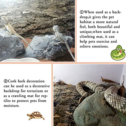 BNOSDM 2PCS Cork Bark Background,11.8" x 7.9" Natural Reptile Terrarium Backdrop, Lizard Climbing Wall Decor for Bearded Dragon Leopard Gecko Snake Chameleon