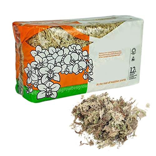 Sphagnum Moss Dried Spagnum Dry Moss for Reptiles Bedding and Terrarium Pet Supplies Sphagnum Moss for Plants Sphagnum Moss for Reptiles 150g
