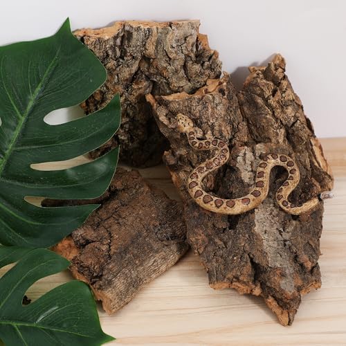 Garneck 4pcs Reptile Tree Bark Decor, Natural Cork Bark Climbing Hide for Reptiles, Terrarium Decorations for Lizards and Snakes
