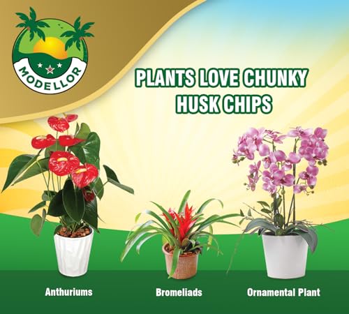 MODELLOR Premium Super Washed, Clean, Coco Chips [10 lb], Yields 2 cu ft. of Loose Chips. Plant Substrate, Organic, Reptile Bedding, Odor Absorbing, Grow Orchids, Mulch Indoor, Outdoor.