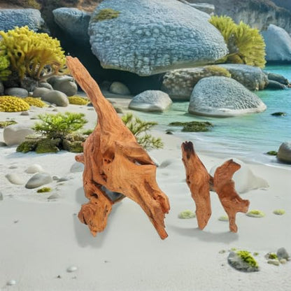 Natural Aquarium Driftwood 2pcs Mini Fish Tank Decoration 10-15cm 25-30cm Freshwater Wood for Reptile Terrarium Climbing Branch and Aquascaping
