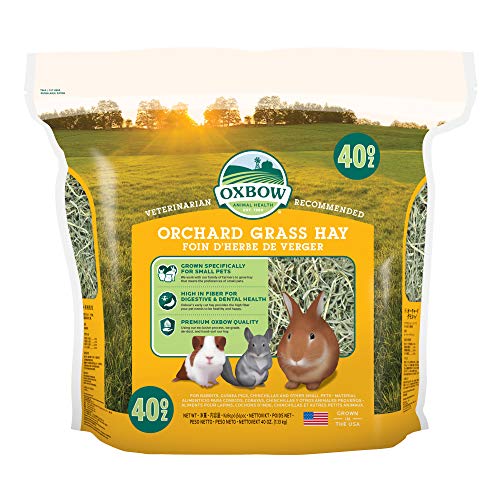 Oxbow Orchard Grass Hay for Small Pets – All-Natural Long Strand Fiber Hay for Rabbits,Guinea Pigs,Chinchillas,and Hamsters – Supports Digestive Health and Enrichment-– 40 oz Bag,(Pack of 2) - size: 40 Ounce (Pack of 2)