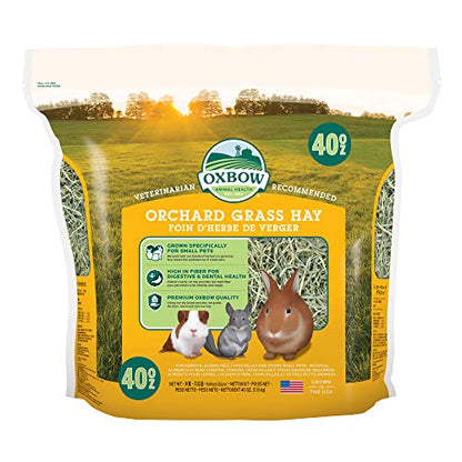Oxbow Orchard Grass Hay for Small Pets – All-Natural Long Strand Fiber Hay for Rabbits,Guinea Pigs,Chinchillas,and Hamsters – Supports Digestive Health and Enrichment-– 40 oz Bag,(Pack of 2) - size: 40 Ounce (Pack of 2)