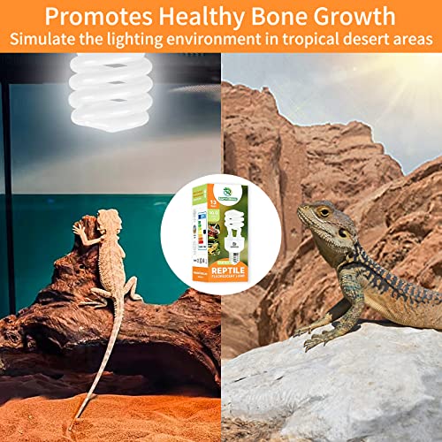 UVB Reptile Light 10.0, 13W Desert UVA UVB Bulb for Reptiles, Compact Desert Terrarium Lamp, Reptile UVB Light Bulb for Bearded Dragon, Lizard, Tortoise, Snake, Gecko - size: 10.0-13
