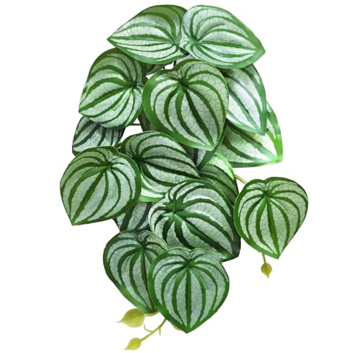 Woyrise Reptile Plants, Terrarium Hanging Plant Vines, Artificial Leaves with Suction Cup, Bearded Dragon Tank Accessories for Gecko Lizard Snake Frog Tortoise Decorations - Calathea Orbifolia - color: D-fake Calathea Orbifolia