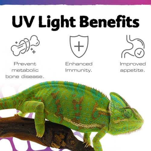 Exo Terra Terrasky UVB LED Terrarium Bulb, 9w