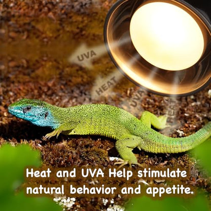 150W Reptile Basking Heat Bulb, 2-Pack UVA Daylight Heat Lamp Bulbs for Bearded Dragons, Turtles, Snakes, Lizards & Amphibians - Provides Infrared Heat Output & Sunlight Simulation Heating Light - style: 150W Daylight