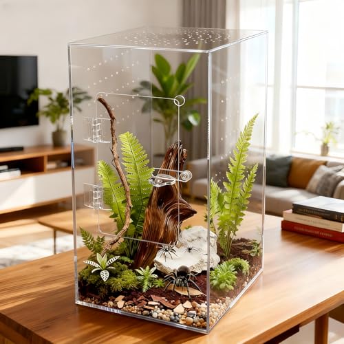 Jumping Spider Enclosure 12x6x6 Inch Acrylic Reptile Terrarium Tank with Front Opening Door - Vertical Habitat for Tarantulas, Praying Mantis, Hermit Crabs & Small Pets