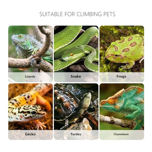 Creature Captures Tongs for Reptiles Care Feeder Pliers Clear Ergonomic Tool Gentle Feeding Easy Reptiles Handling Clamp - color: Black, size: C