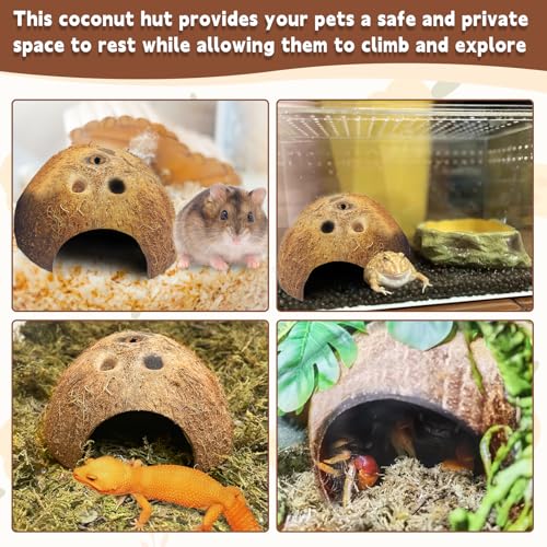 PINVNBY Natural Coconut Reptile Hideouts Lizard, Coco Hut Hermit Crab Hut Aquarium Fish Hide Cave for Small Reptile Crested Gecko Leopard Gecko Spider Snail Climber Toys (4 PCS Natural Surface) - size: 4 PCS Natural Surface