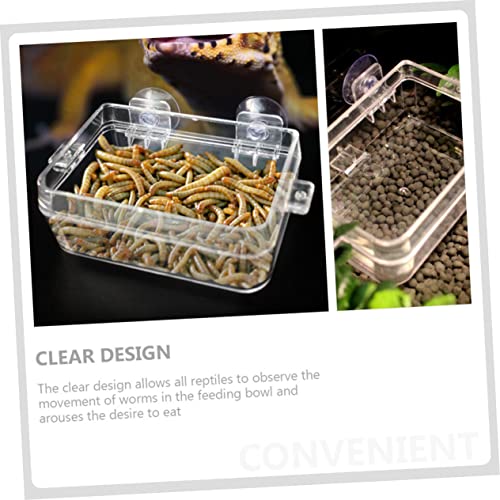 WOONEKY 2pcs Lizard Feeding Bowl Cup Transparent Wall-Mounted Reptile Feeder for Water and Food for Geckos Chameleons and Reptiles and Easy to Clean