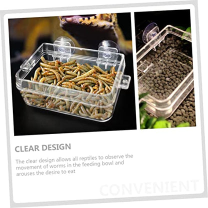 WOONEKY 2pcs Lizard Feeding Bowl Cup Transparent Wall-Mounted Reptile Feeder for Water and Food for Geckos Chameleons and Reptiles and Easy to Clean