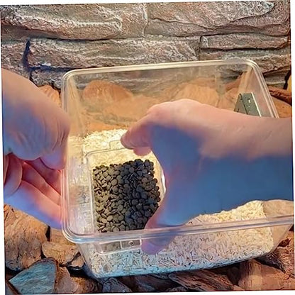 WOONEKY 2pcs Lizard Feeding Bowl Cup Transparent Wall-Mounted Reptile Feeder for Water and Food for Geckos Chameleons and Reptiles and Easy to Clean