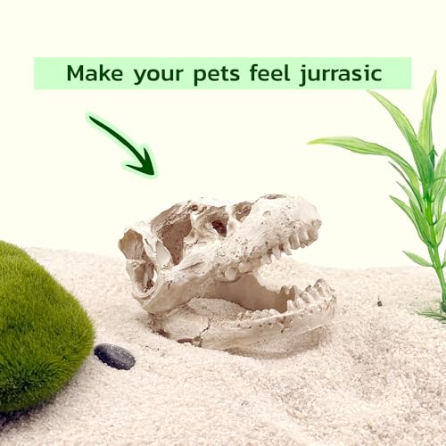 Mini T-Rex Skull Aquarium & Reptile Tank Decor – Dinosaur Fossil Hideout for Fish, Geckos, Hermit Crabs, and Terrariums – Small Resin Jurassic Decoration for Aquascape, Vivarium, or Pet Habitat