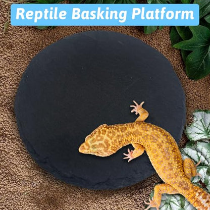 Hamiledyi Reptile Basking Platform Tortoise Feeding Dish Rock Reptile Food Bowl with Feeding Tweezers Landscape Habitat Decor for Crested Gecko Lizard Bearded Dragon Turtle (2 PCS Round)