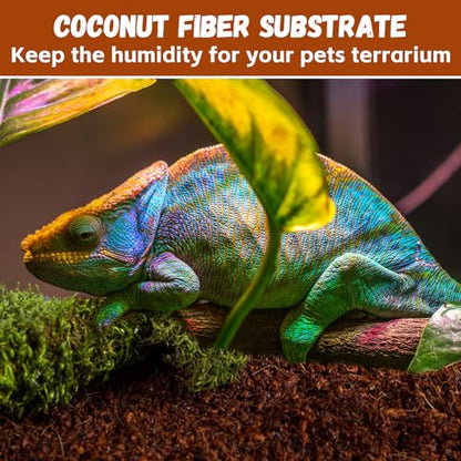 Legigo 6 Pack Coconut Fiber Substrate, Natural Coco Coir Bedding for Reptiles Turtles, Tortoises, Snake, Hermit Crab, Gecko, Lizard, Bioactive Terrarium Soil for Humidity Control and Plant Substrate - color: 6 Pack