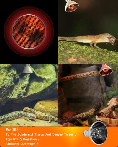Deep Heat Projector - DHP 80W Infrared Reptile Heat Lamp Bulbs for Turtle Light Bearded Dragon Chicken Lizard Leopard Gecko Snake - color: Dhp 80w
