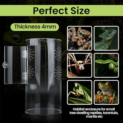 6*6*12in & 8*4*4in Front Opening Arboreal Tarantula Enclosure