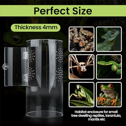 Front Opening Terrarium Jumping Spider Enclosure,Tall Arboreal Tarantula Enclosure Terrarium with Cross Ventilation,Waterproof Acrylic Reptile Enclosure - size: 12*6*6in